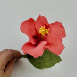 Felt Hibiscus Workshop | July 16 | 6:00–8:00 PM