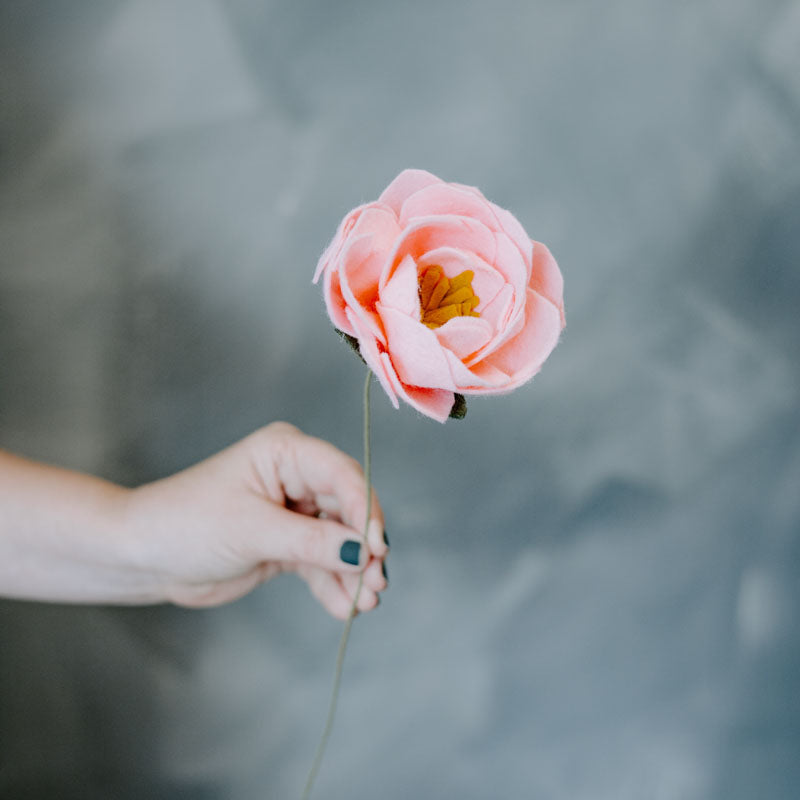 Peony Single Stem in Pink