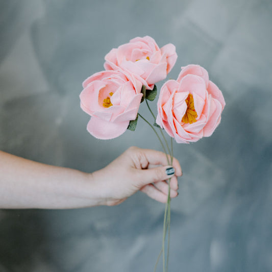 Peony Single Stem in Pink