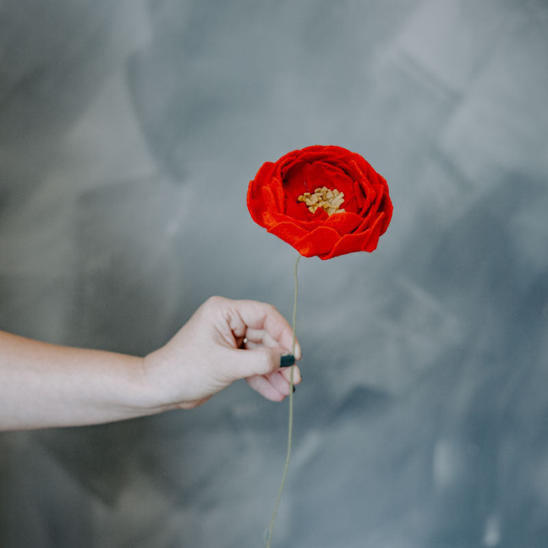 Peony Single Stem in Red