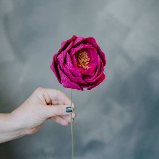 Peony Single Stem in Magenta