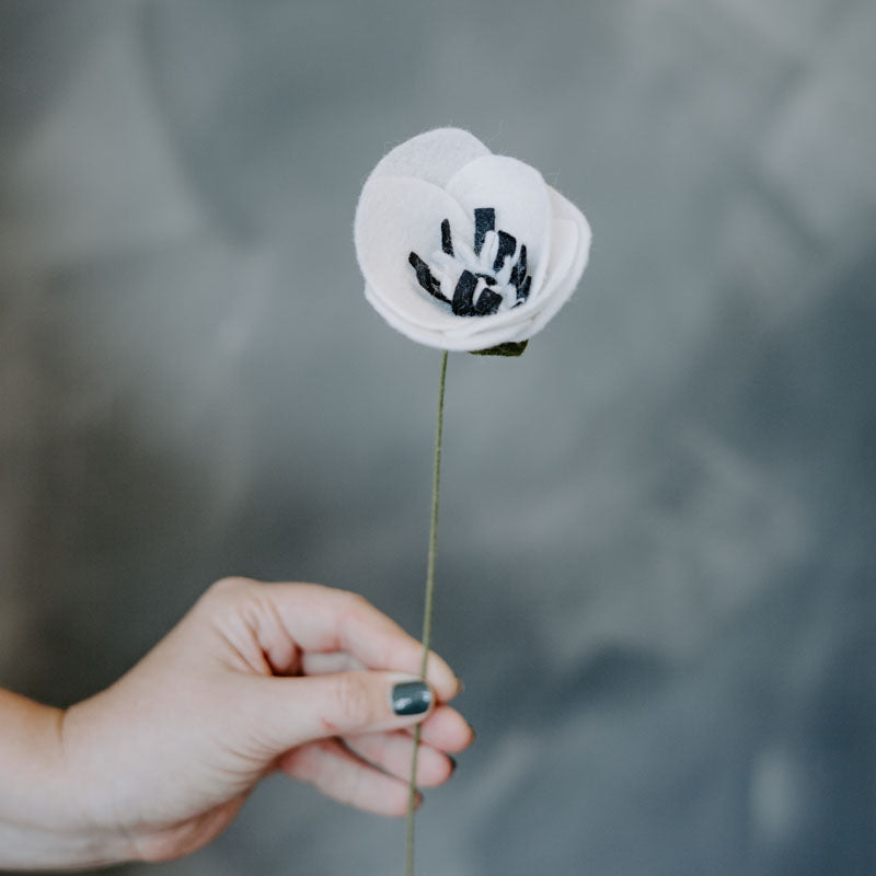 Anemone Single Stem in White