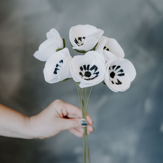 Anemone Single Stem in White