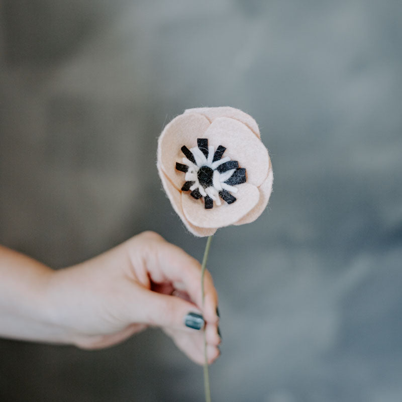 Anemone Single Stem in Pale Peach