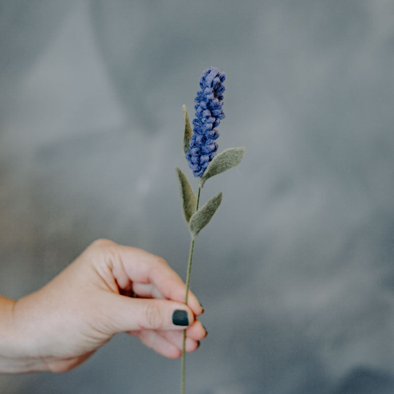 Lavender Single Stem
