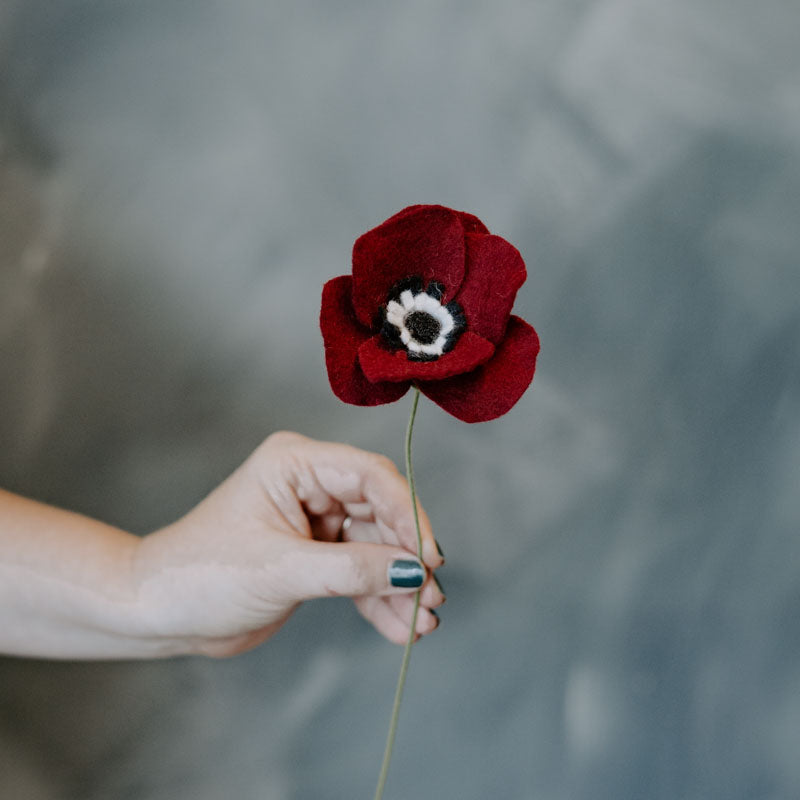 Anemone Single Stem in Burgundy