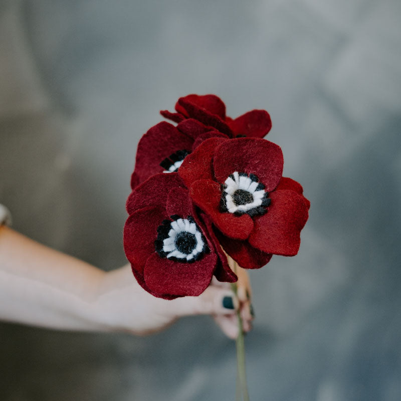 Anemone Single Stem in Burgundy
