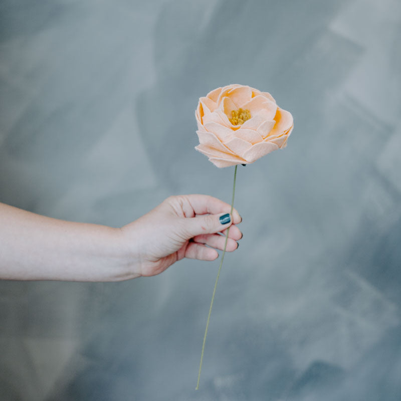 Peony Single Stem in Peach