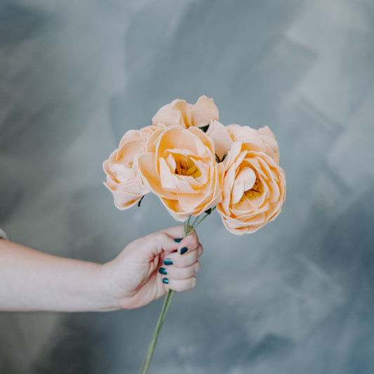 Peony Single Stem in Peach