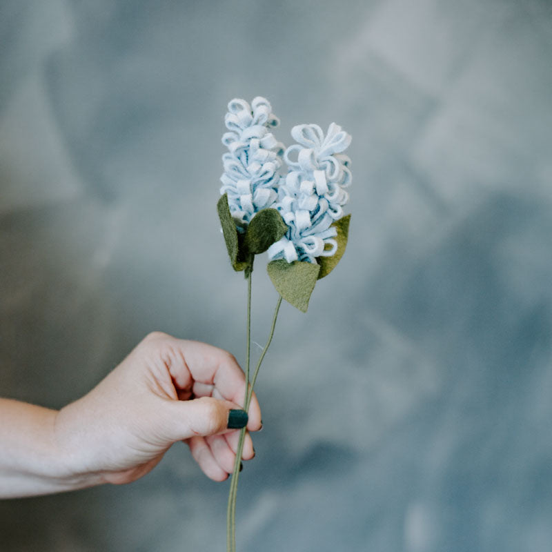 Hyacinth Single Stems