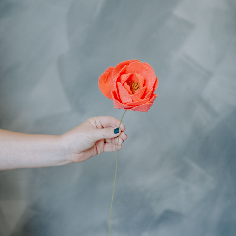 Peony Single Stem in Coral