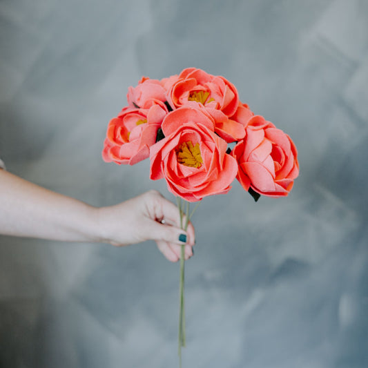 Peony Single Stem in Coral