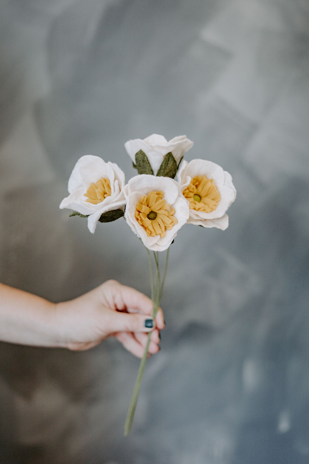 Icelandic Poppy Single Stem Asst. Colors