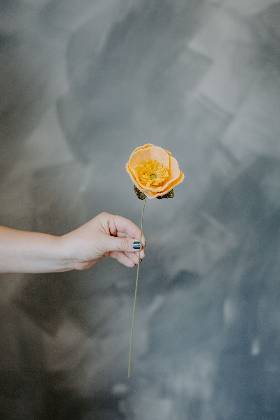 Icelandic Poppy Single Stem Asst. Colors