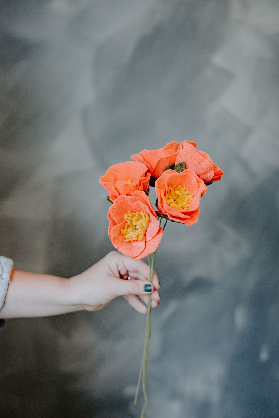 Icelandic Poppy Single Stem Asst. Colors