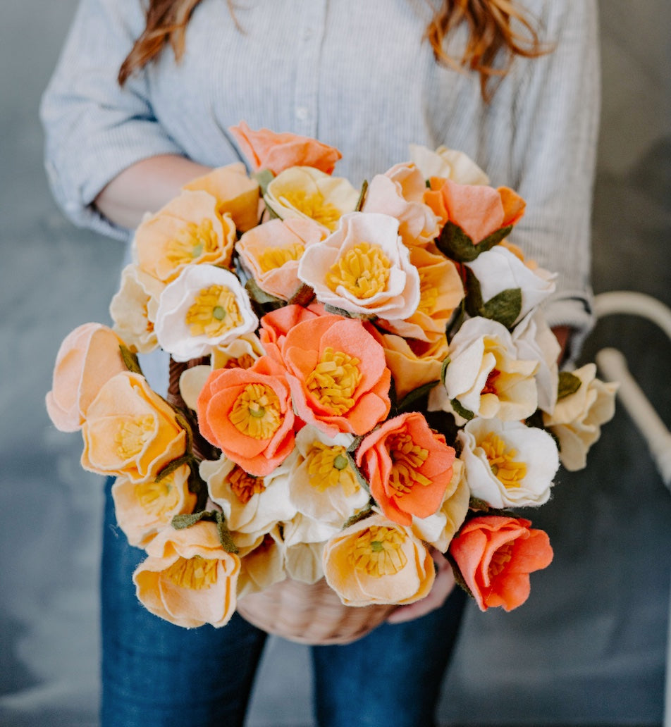 Icelandic Poppy Single Stem Asst. Colors