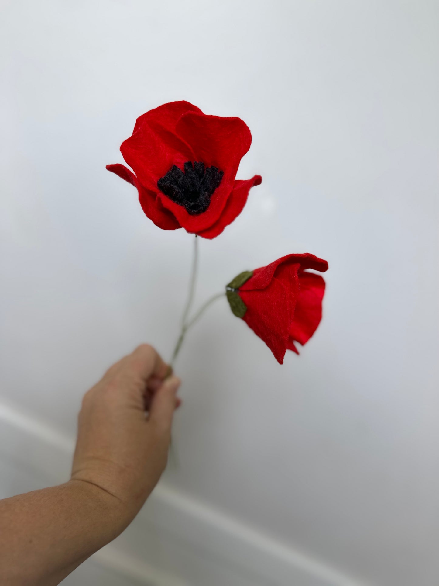 Felt Poppy Workshop | July 23 | 6:00–8:00 PM