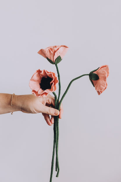 Blush Felt Poppy