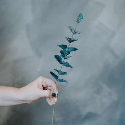 Eucalyptus Single Stems