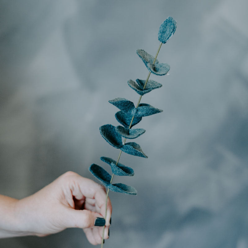 Eucalyptus Single Stems