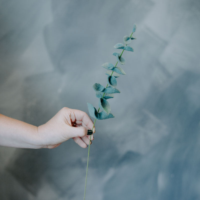 Eucalyptus Single Stems