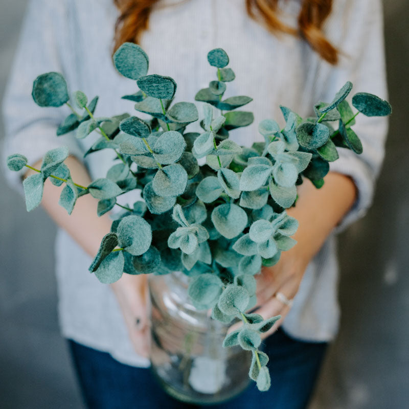 Eucalyptus Single Stems